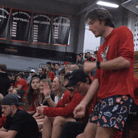 Happy Virginia GIF by University Of Lynchburg