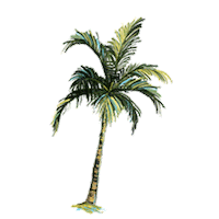 los angeles california Sticker by Fabletics