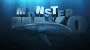 Discovery GIF by Shark Week