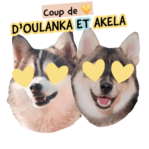 Pawsitivepetambassadeur Sticker by Pawsitive pet