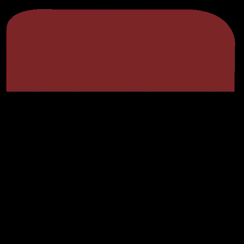 monsakbags giphygifmaker red shape leather GIF