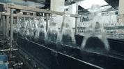 rhenser  GIF