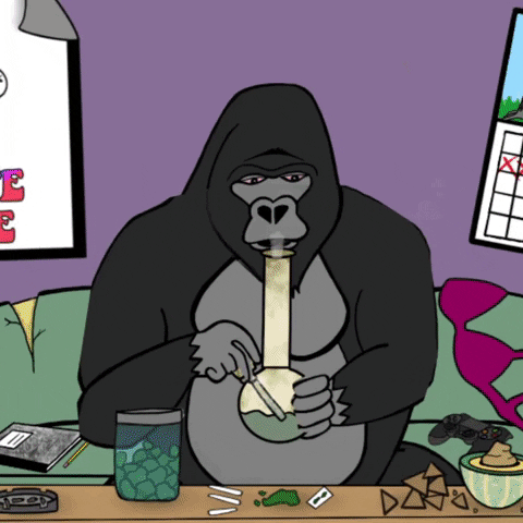 gorilla black rapper GIF by White Dave