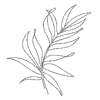 Style Leaf Sticker by NEWSHA - private haircare