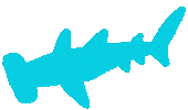 Deep Sea Sticker