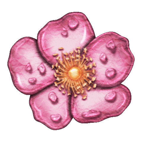 tigirlilygold giphyupload flower flowers country music Sticker