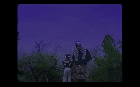 Beyonce Africa GIF by CRWNMAG