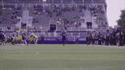 College Football GIF by Northwestern Athletics