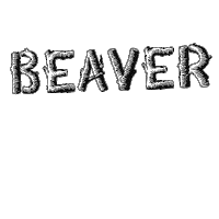 Beaver Gravel Sticker by PCR GRAVIER
