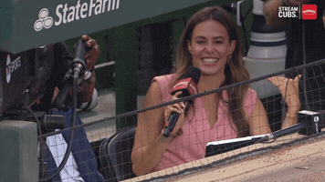 Chicago Cubs Baseball GIF