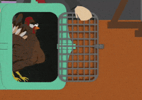 turkey showing off GIF by South Park 