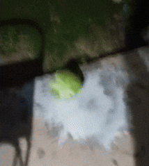 Angry Birds Pig GIF by agenciapremium