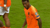 Winning Let'S Go GIF by Gini Wijnaldum