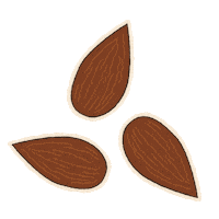 Nuts Seeds Sticker by The Salty Greek