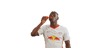 Fun Lol Sticker by RB Leipzig