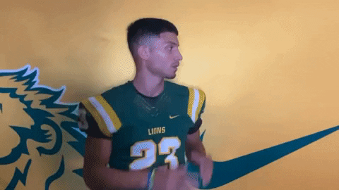 GIF by MOSO Sports
