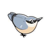 Bird 鳥 Sticker