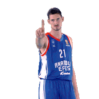 Tibor Pleiss Sticker by Anadolu Efes SK