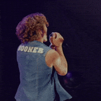 Lollapalooza GIF by Respective