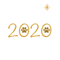 New Year Dog Sticker by Petland Florida