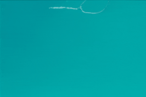 GIF by Gatlin