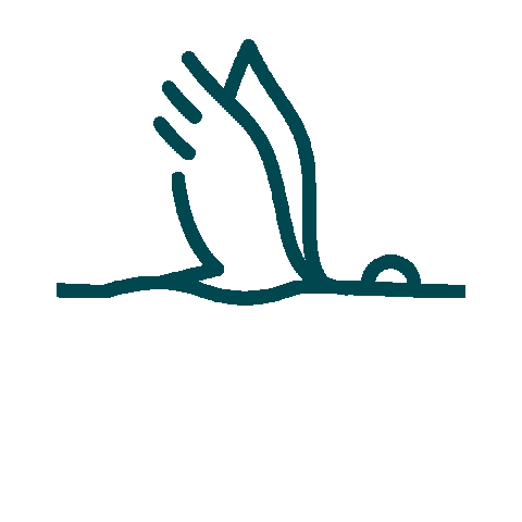 discovermonroewestmonroe giphyupload travel bird flying Sticker