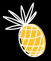 pdvargentina pdvargentina GIF