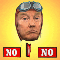 Donald Trump No GIF