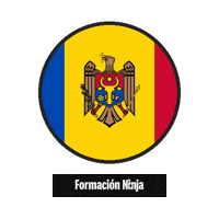 Flag Bandera Sticker by Formación Ninja