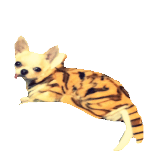 gue STICKER by imoji