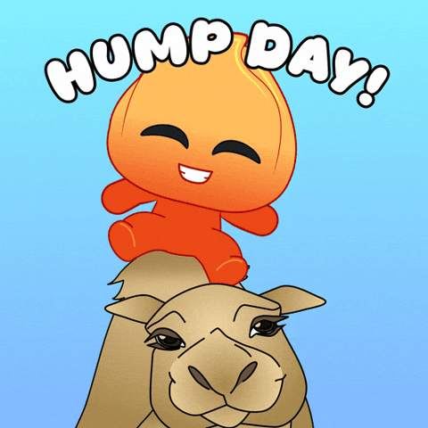 Wednesday Keep Smiling GIF by Playember