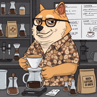 Shiba Inu Wow GIF by Doge Pound