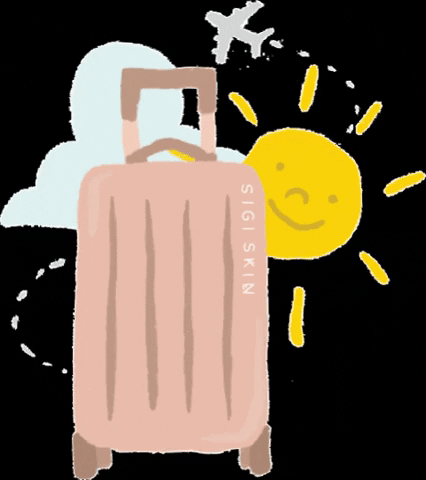 sigiskin giphygifmaker travel luggage sigiskin GIF