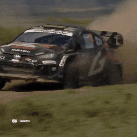 Excited Fast Car GIF by FIA World Rally Championship