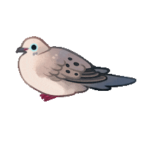 Cookiedoves bird dove cute bird cookiedoves Sticker