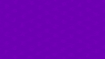 Money Win GIF by Squad Busters