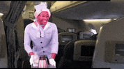 RobertEBlackmon reaction reactions whatever plane GIF