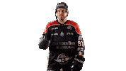 Celebration Beer Sticker by Les Ducs d'Angers