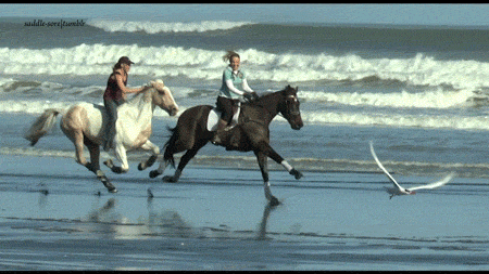 Beach Couple GIF