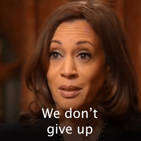 We don't give up and we will not give up.