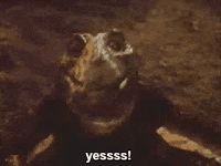 GIF by Giffffr