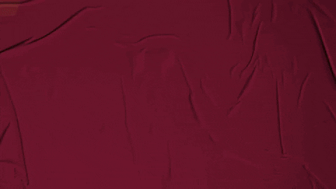 College Baseball GIF by Pearl River Athletics