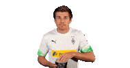 Jonas Hofmann Bundesliga Sticker by Borussia Mönchengladbach
