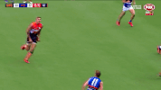 2018 season football GIF by AFL