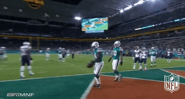 Miami Dolphins Football GIF by NFL