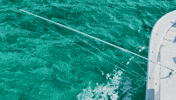 Fishing Trolling GIF by GEMLUX