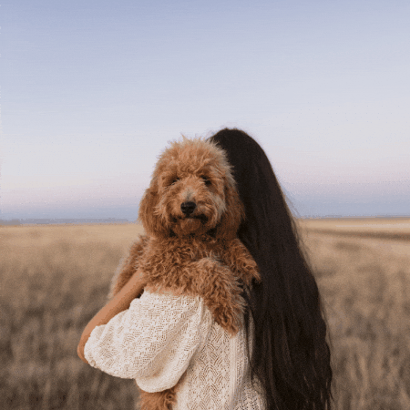 aadityachand giphygifmaker giphyattribution GIF