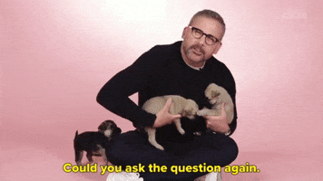 Could You Ask The Question Again