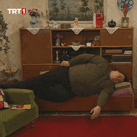 Excited Wake Up GIF by TRT