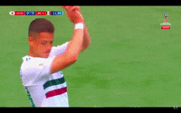 qatar 2022 rusia 2018 GIF by MiSelecciónMX